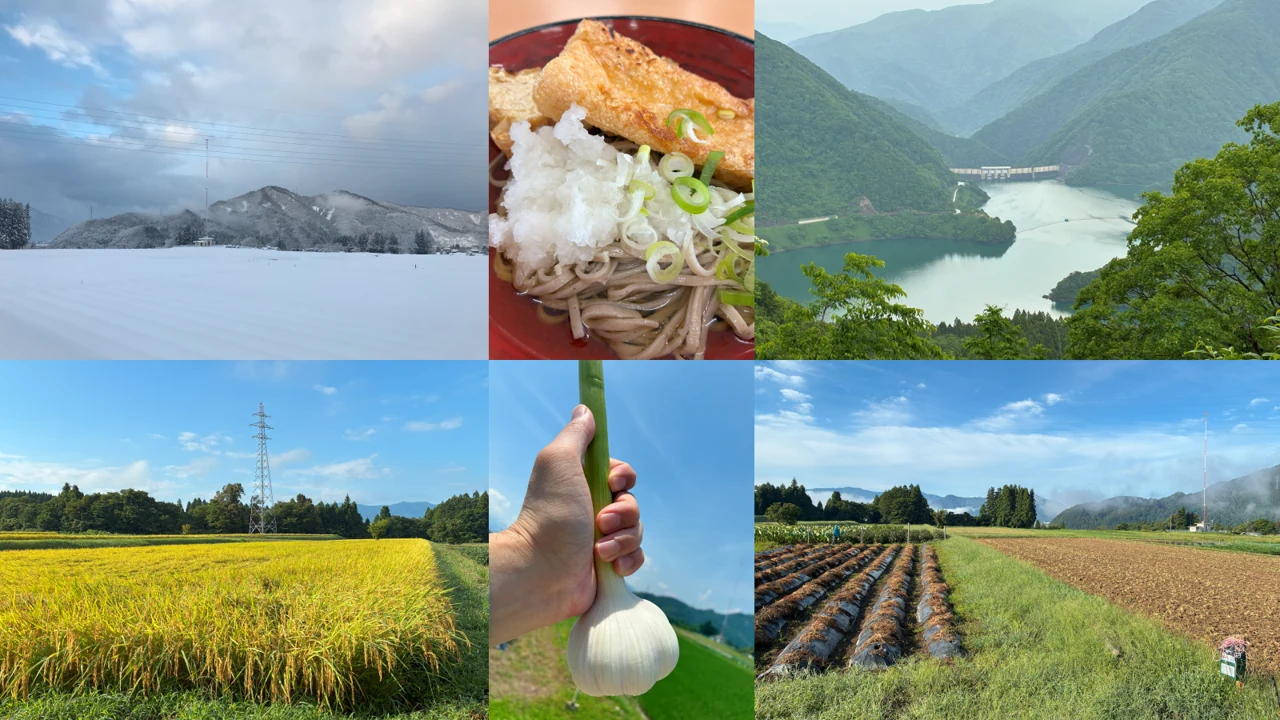 メタモルフォー禅-現地collage.png